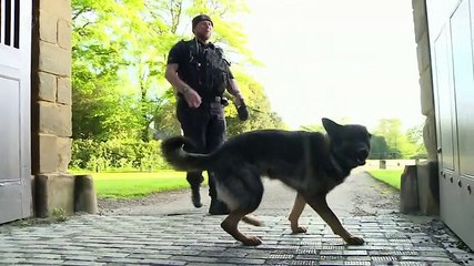 Police Interceptors S13E01 Family Matters