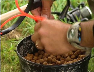 The Great Rod Race Matt Hayes Carp Eel Tench Part.2 (2004)