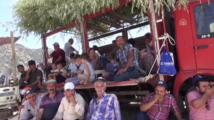 Aydın'da 4. Boğa Güreşi Festivali