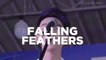 Interview with Falling Feathers