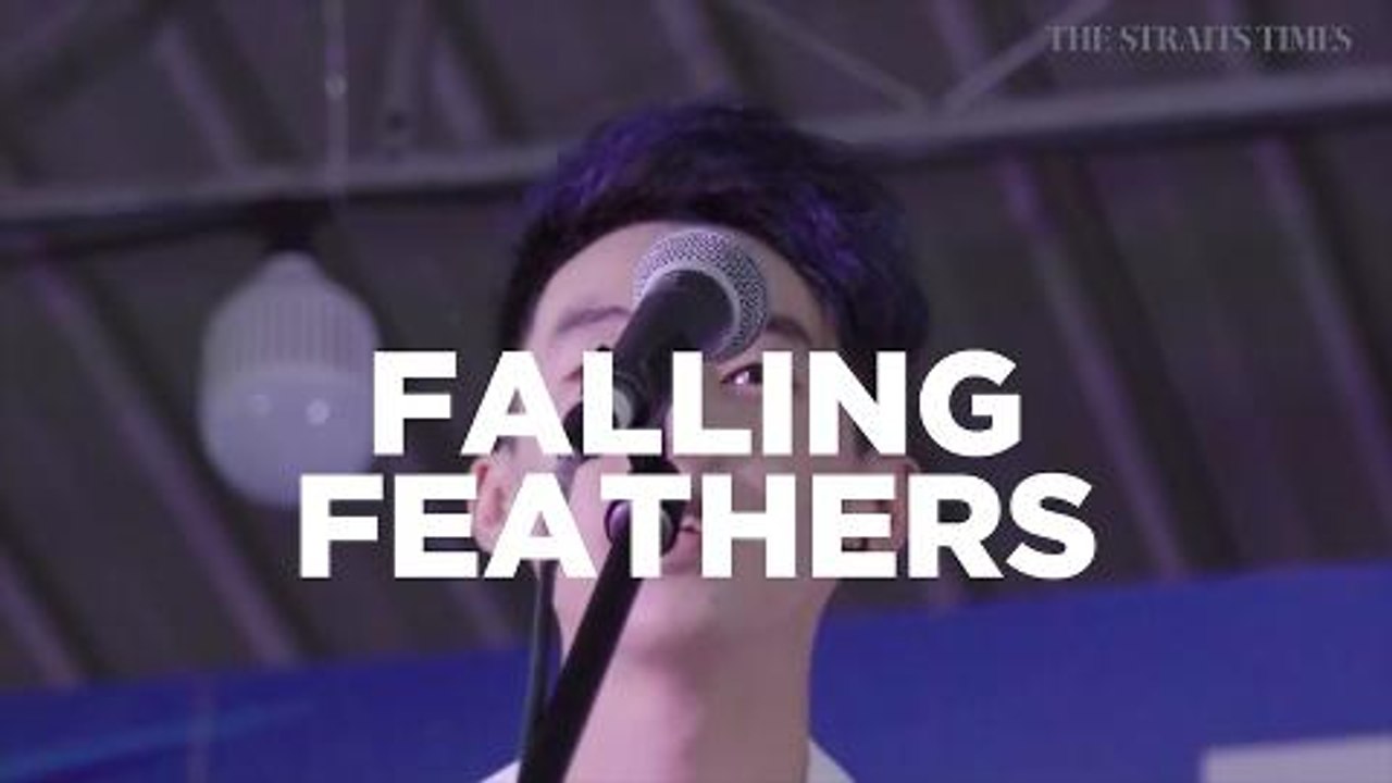 Interview with Falling Feathers