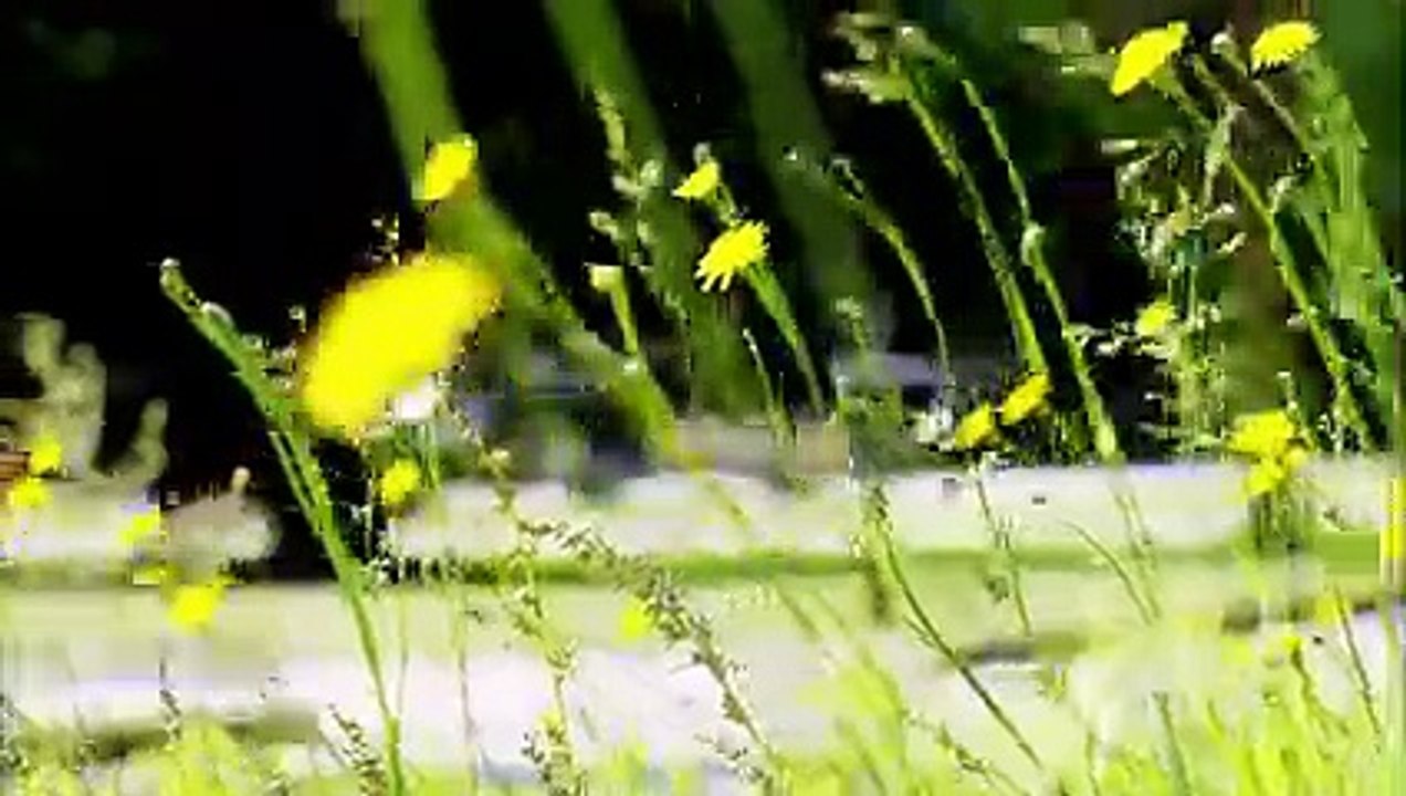 Kim of Queens S02 E08 Kick Some Sash