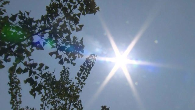 서울 38℃, 올 최고...1994년 이후 최악 / YTN