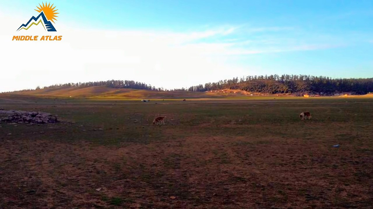 محمد مغني  Mohamed Maghni- روائع أمازيغية