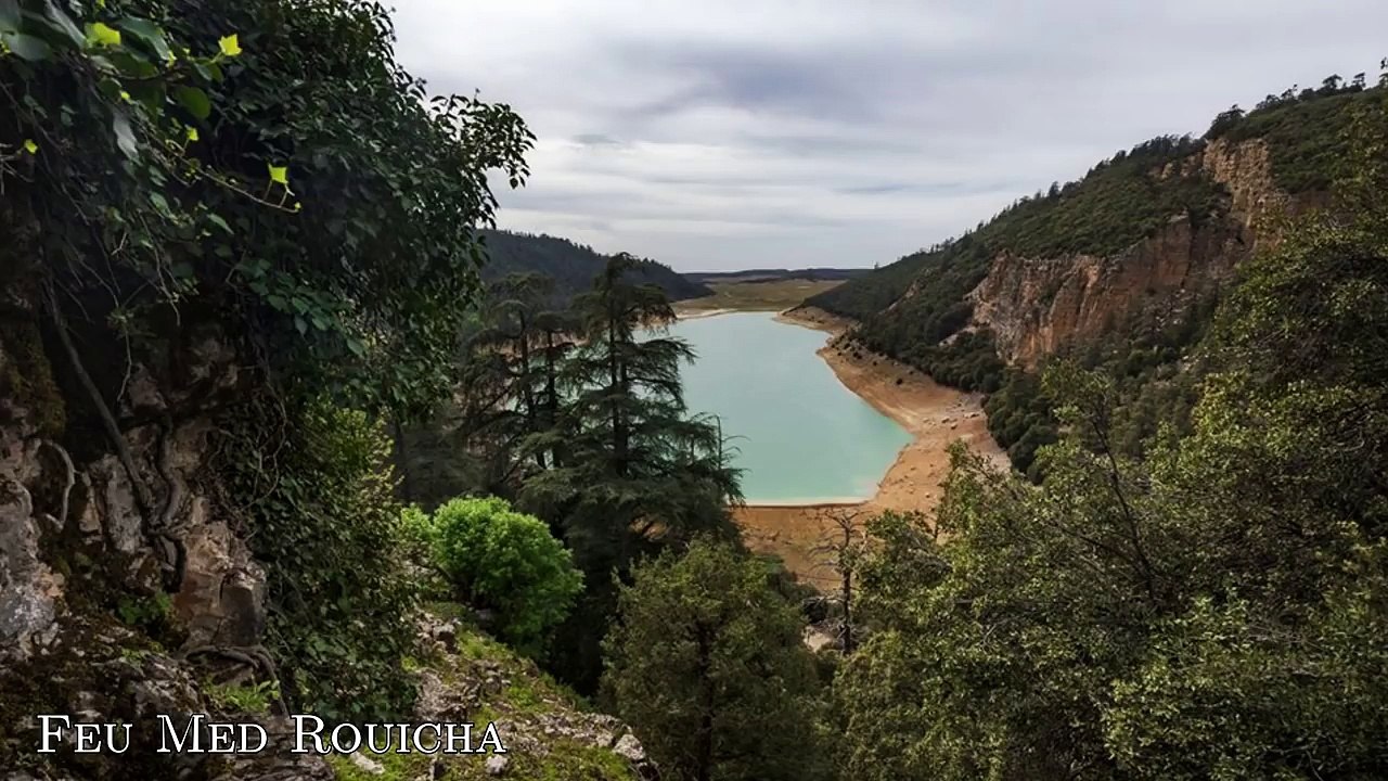 Feu Med Rouicha -_- محمــد رويشـــة