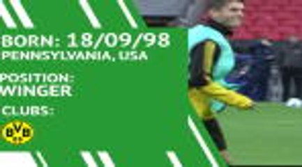 Christian Pulisic - player profile