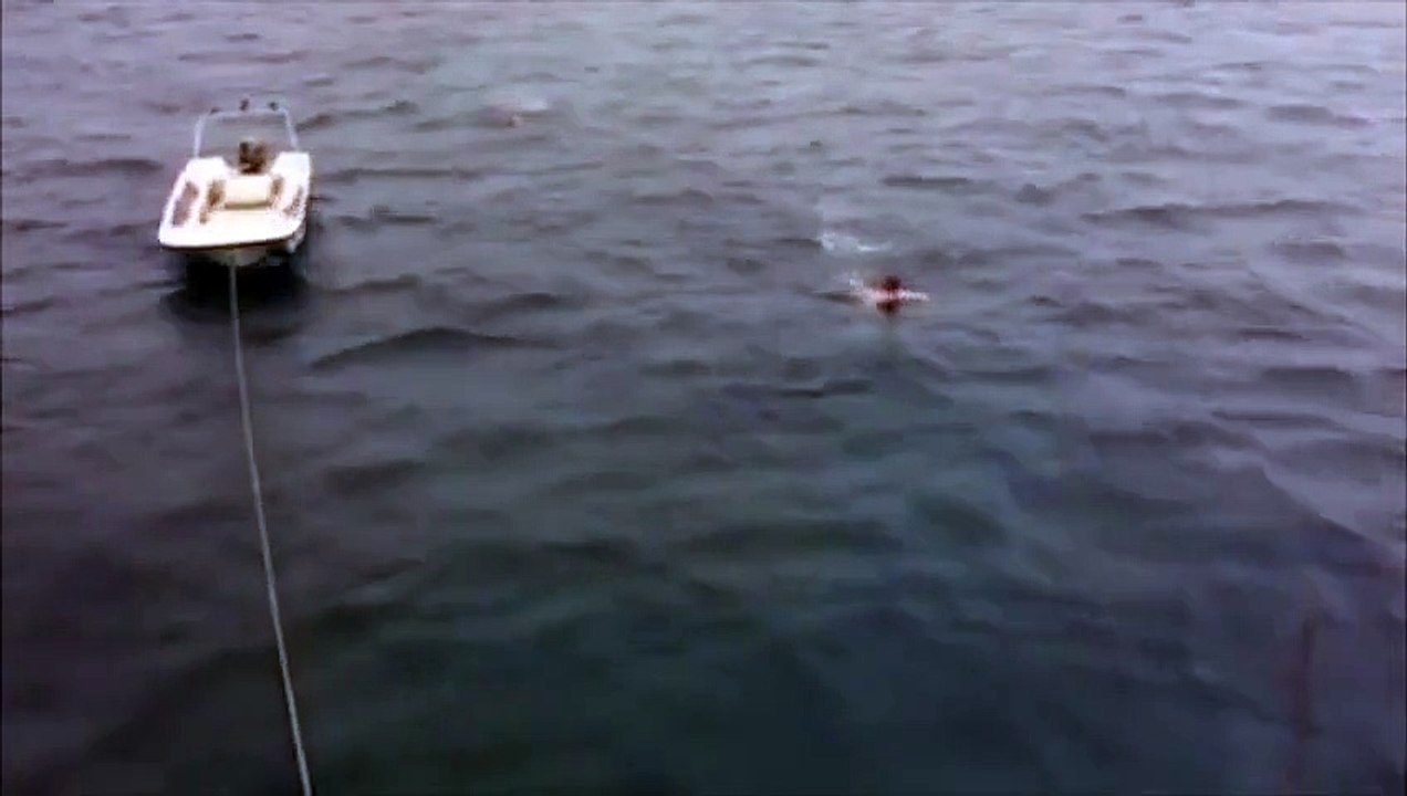 Un touriste russe nage à coté d'un énorme requin et en rigole