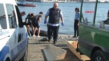 İstanbul Denize Düşen Adamın Cesedi 16 Gün Sonra Bulundu