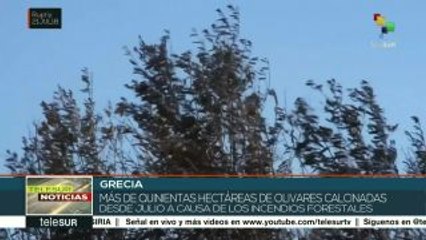 Grecia: incendios forestales en la isla de Creta afectan cultivos