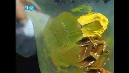 The Joy of Painting S30 04 Wilderness Trail