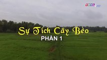 Sự tích cây bèo - Phần 1 | Cổ tích Việt Nam