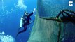 Un plongeur vient sauver une baleine piégée dans un filet de peche