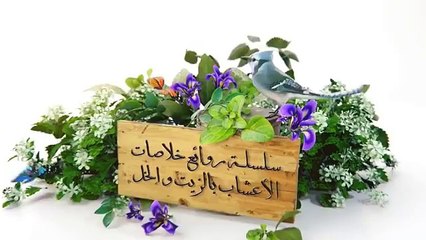 حلقتنا اليوم: كيف تشحذ الذاكرة بخلاصة الميرمية الكاملة في زيت الزيتون و خل التفاح الطبيعي