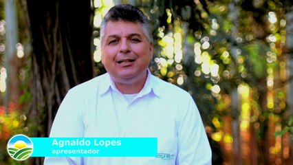 ROÇA TV- Poeta & Jacira- Amigo