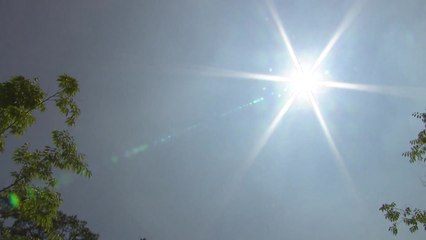 [날씨] 강릉 역대 두 번쨰 초열대야...낮에는 찜통 / YTN