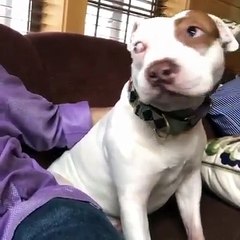 C'mon, pay me more attention ..... 