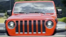 2019 Jeep Wrangler Rubicon  BIG off-road test drive