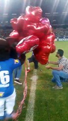 Pedido de casamento no gramado do Mineirão durante intervalo de jogo