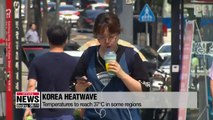 Korea heatwave has claimed 10 lives; gov't vows to act