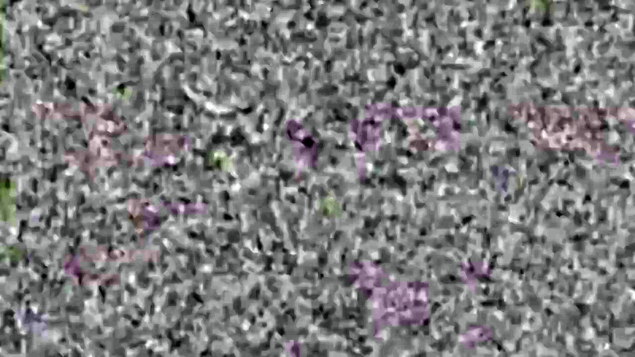 Puppycorn Crying Csupo [60FPS]