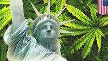 Legalizing recreational weed could be lucrative for New York