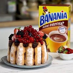 Cette Charlotte aux fruits rouges est un parfait alibi pour manger du chocolat LA RECETTE :