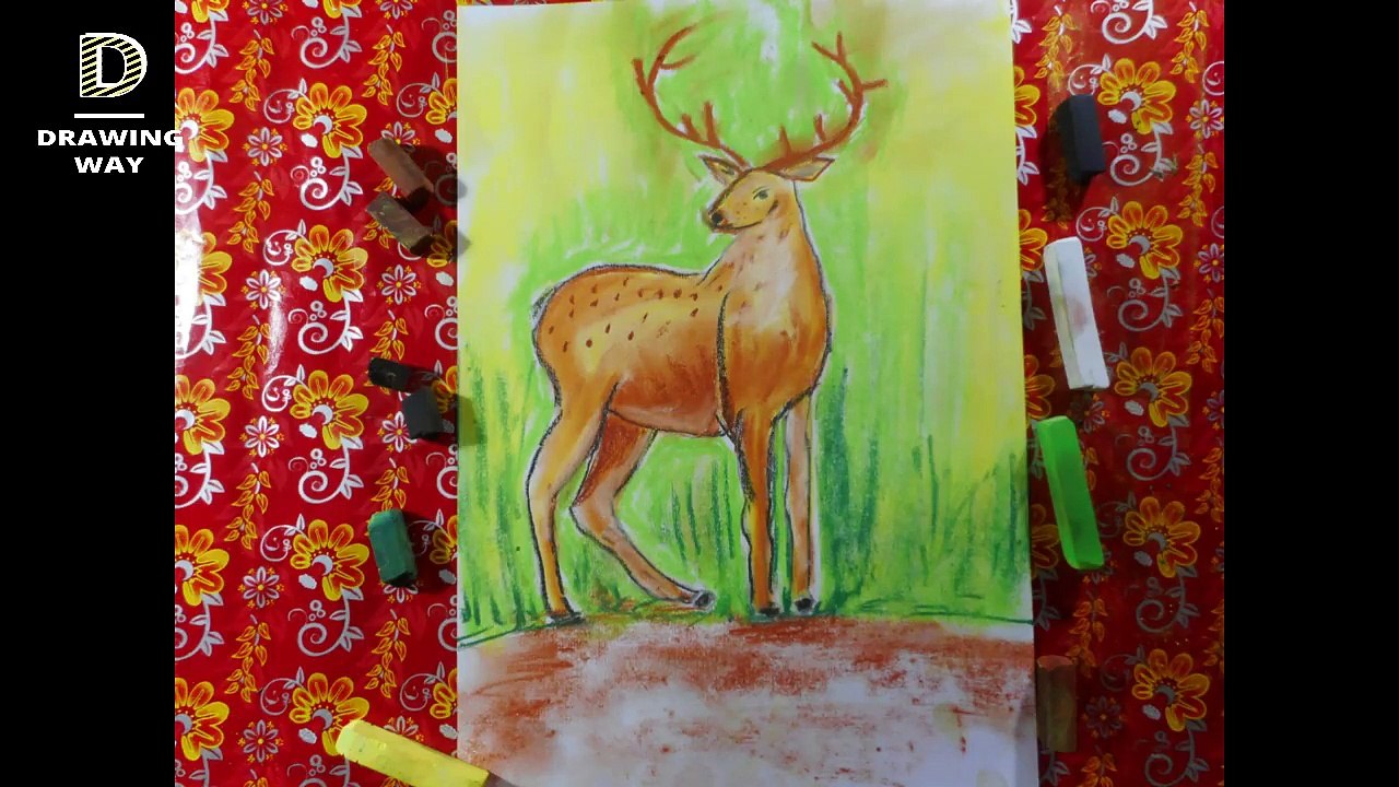 How to draw a Deer step by step with soft pastels  21 