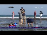 Ubur ubur Kembali Bermunculan dan Menyerang di Pantai Daerah Gunungkidul - NET 24