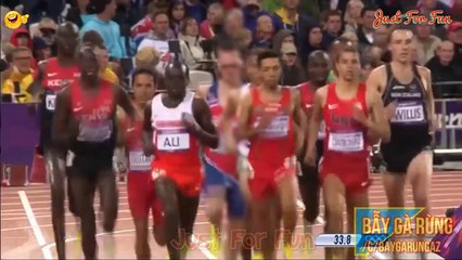 Best Funny Clips - Humorous Situations on TV