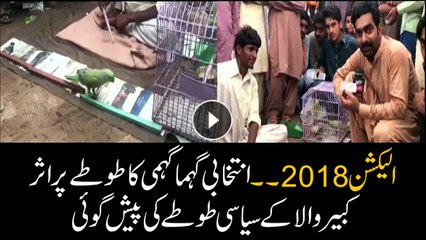 Watch psychic parrot predicting election results