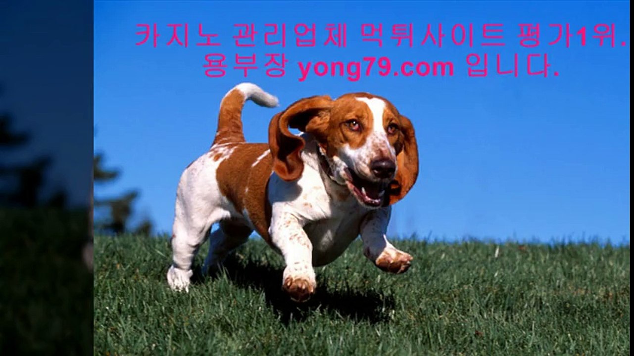 케이토토 ○【【 yong79。ＣOM 】】○ 카지노주소