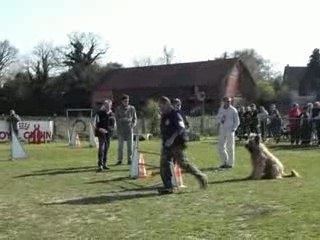 Agility viking et royce st lo 04.2007