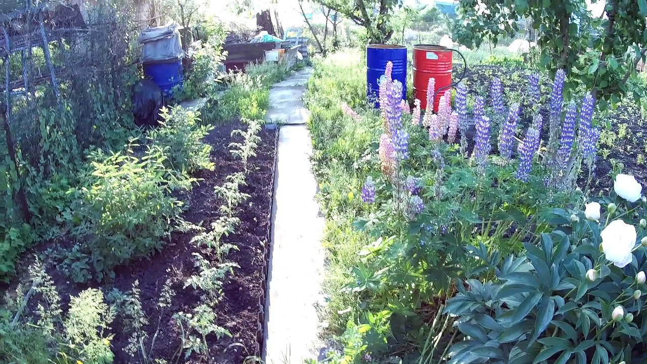 Je teste ma nouvelle maîtresse