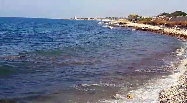 Bisceglie: cittadino andriese va al mare e guardate cosa ha scoperto