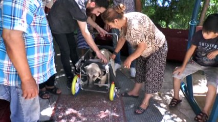 Yanlış tedaviye protezli çözüm