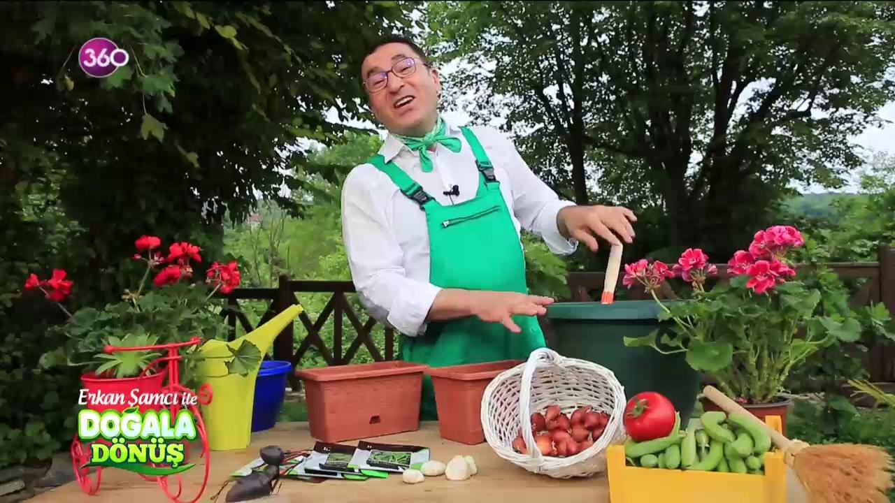 Doğala Dönüş / Evde tarım