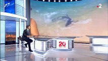 Morandini Zap: En corse, un requin bleu manque de s'échouer sur la plage - VIDEO