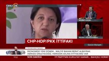 CHP'li olup CHP'ye oy verene sözüm yok ama gidip HDP'ye oy verenin