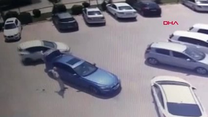 Bursa Çantasını Kaptırmamak İçin Aracın Arkasında Sürüklendi Hd