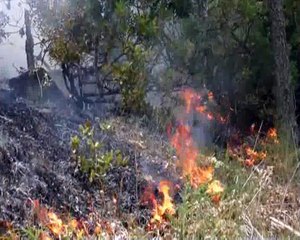 UN INCENDIO ALLA DIGA MATERA 22-7-2018