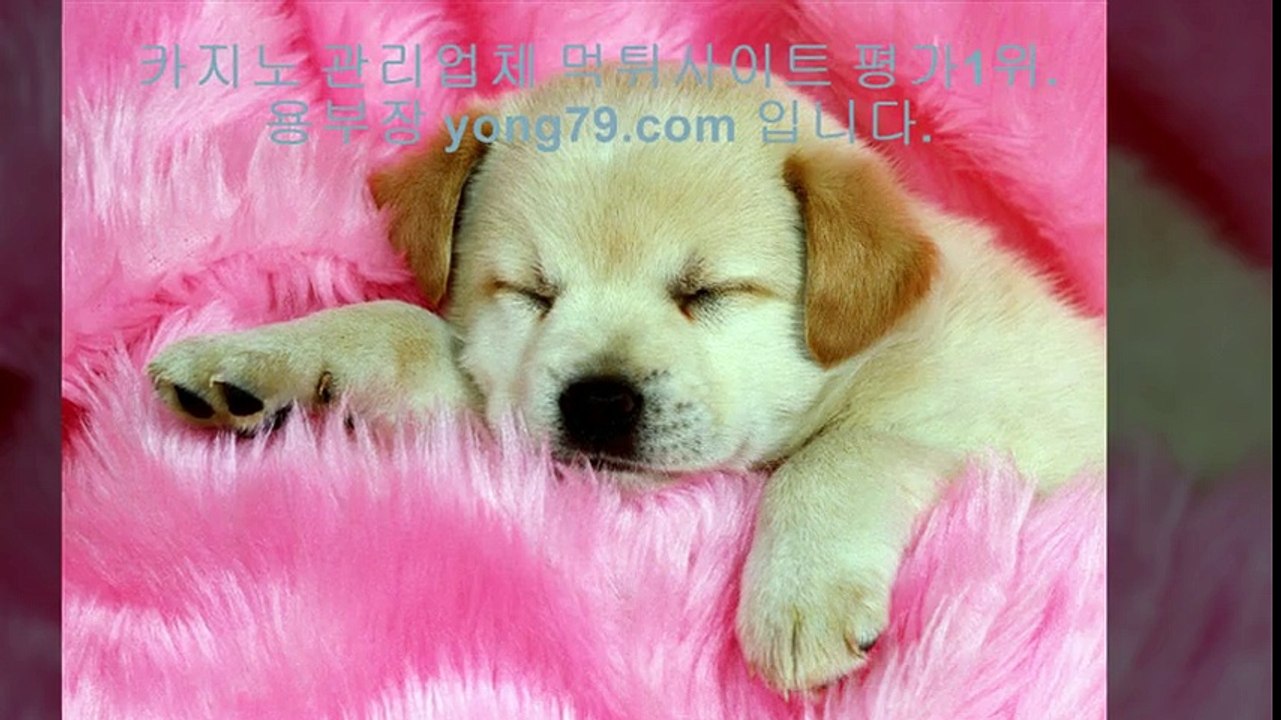 안전놀이터검증 ♤【【 yong79。ＣOM 】】♤ 안전놀이터검증