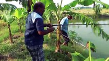 Premium Catla Fishing Videos By Fishing Idol In Bangladesh