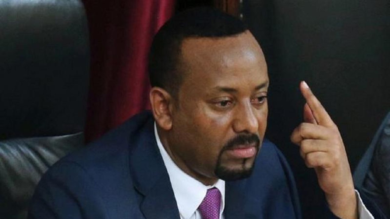 Ethiopia's only option is multiparty democracy with strong institutions: PM