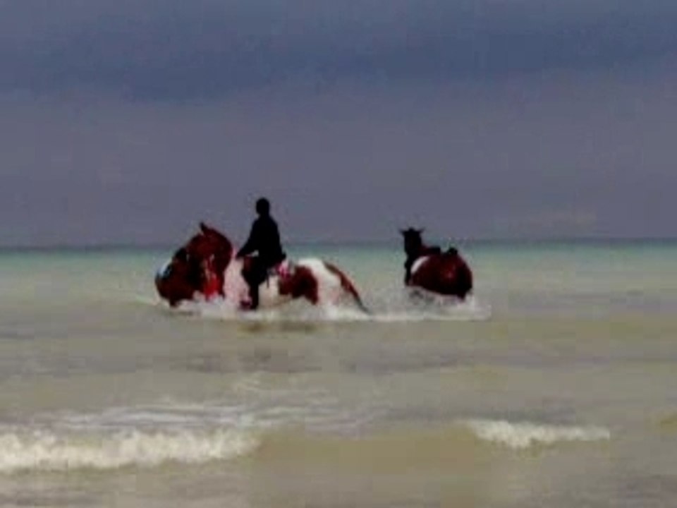 Lolo et moi a la mer