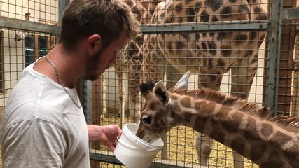 Rencontre avec les soigneurs animaliers de Natur’zoo