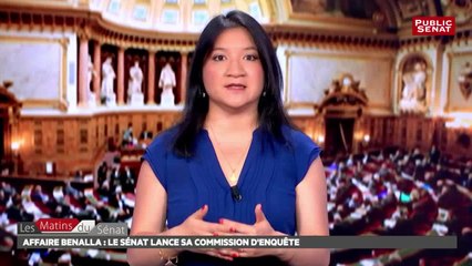 Mixité sociale : les débat se poursuivent sur la loi ELAN - Les matins du Sénat (23/07/2018)