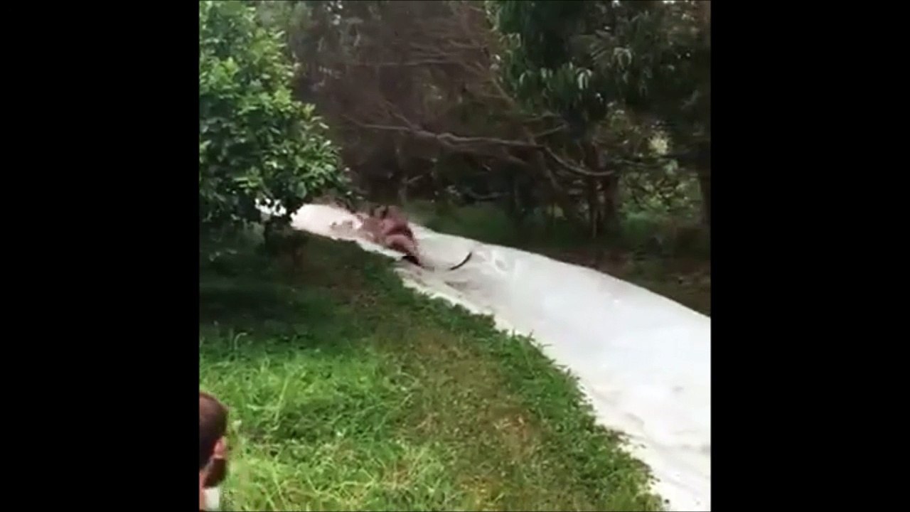 La mauvaise idée : faire du toboggan aquatique...