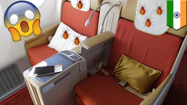 Bed bugs forced Air India to ground Newark-Mumbai flights