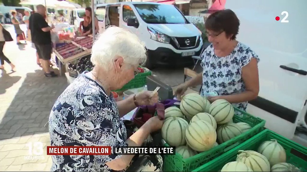 Découverte : le melon de Cavaillon, vedette de l'été