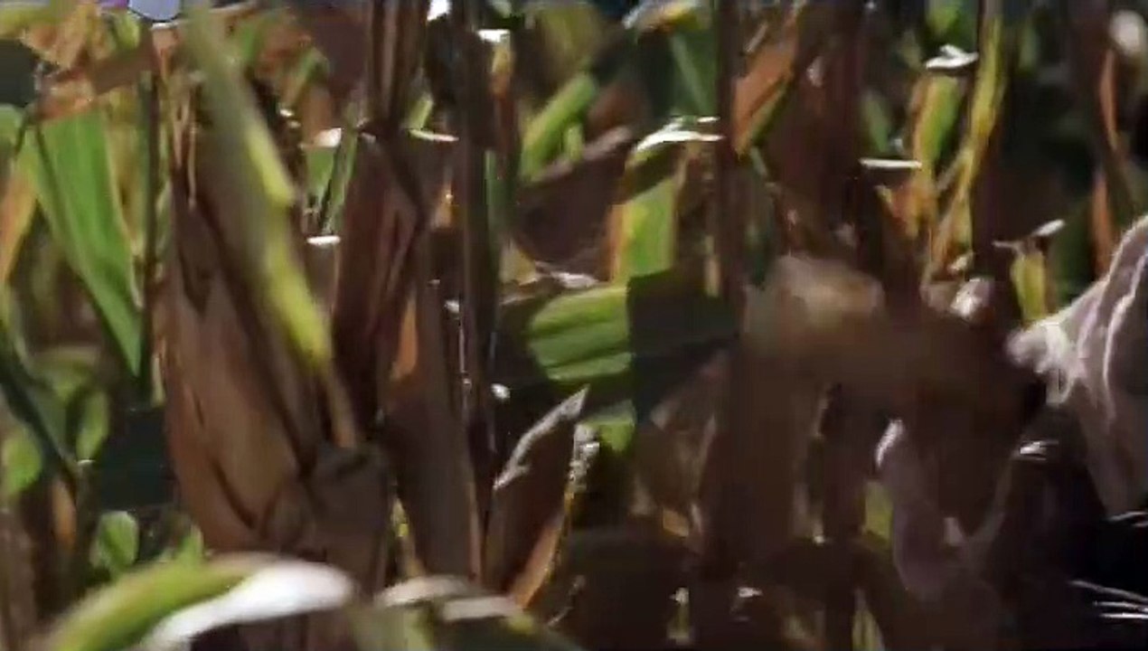 Jesen stize dunjo moja Ep.04